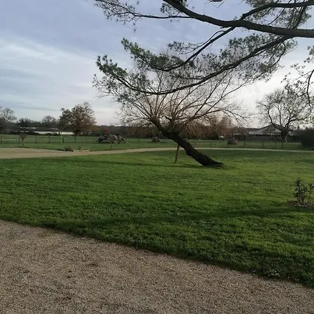 Au Charme Di'sy Bed & Breakfast 3*