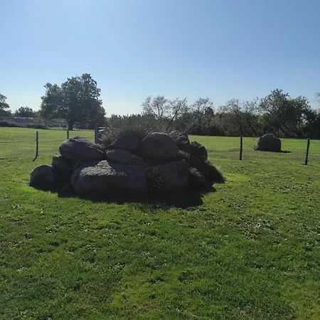 Au Charme Di'sy Bed & Breakfast