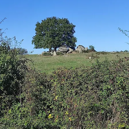 Au Charme Di'sy Bed & Breakfast 3*