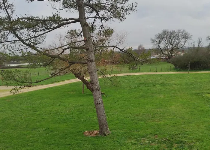 Au Charme Di'sy Bed and breakfast 3*