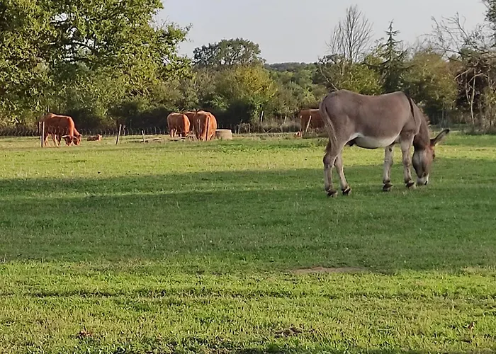 Au Charme Di'sy Les Cerqueux-de-Maulévrier