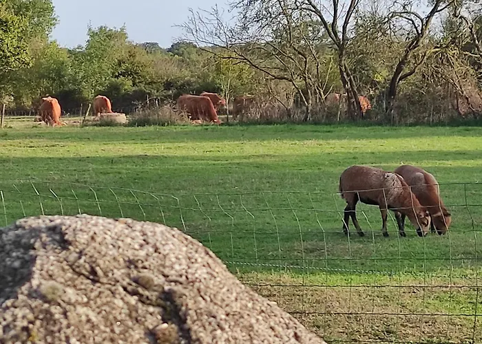 Au Charme Di'sy Bed and breakfast Les Cerqueux-de-Maulévrier